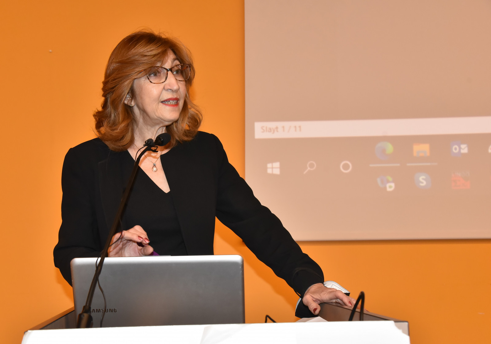 DSC_6033.jpg (185 KB)