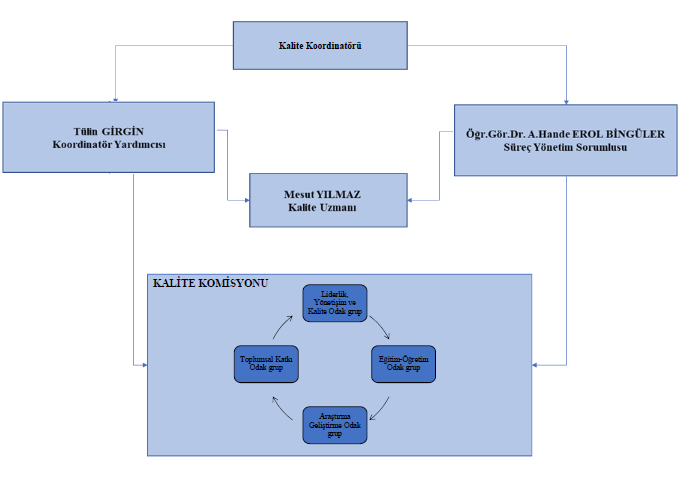 Kalite Koordinatörlüğü organizasyon şeması.png (35 KB)